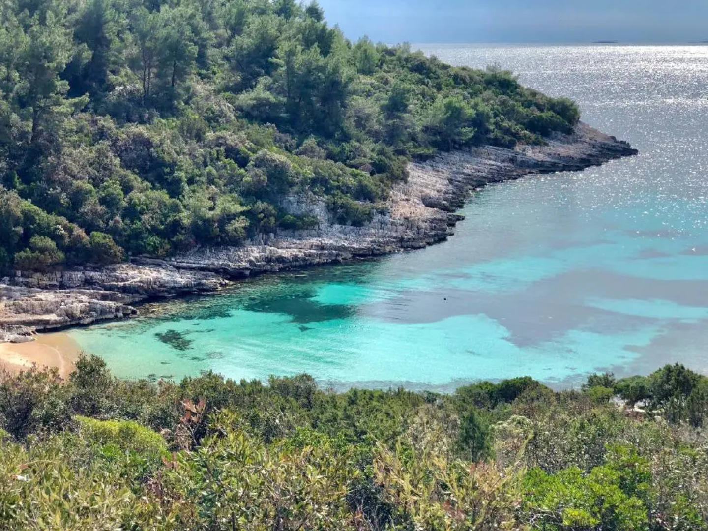 Apartments MT Residence