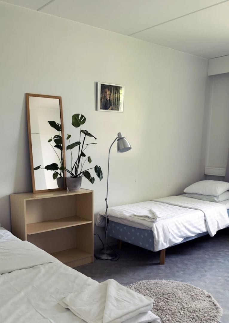 Mänttä Summer Apartments