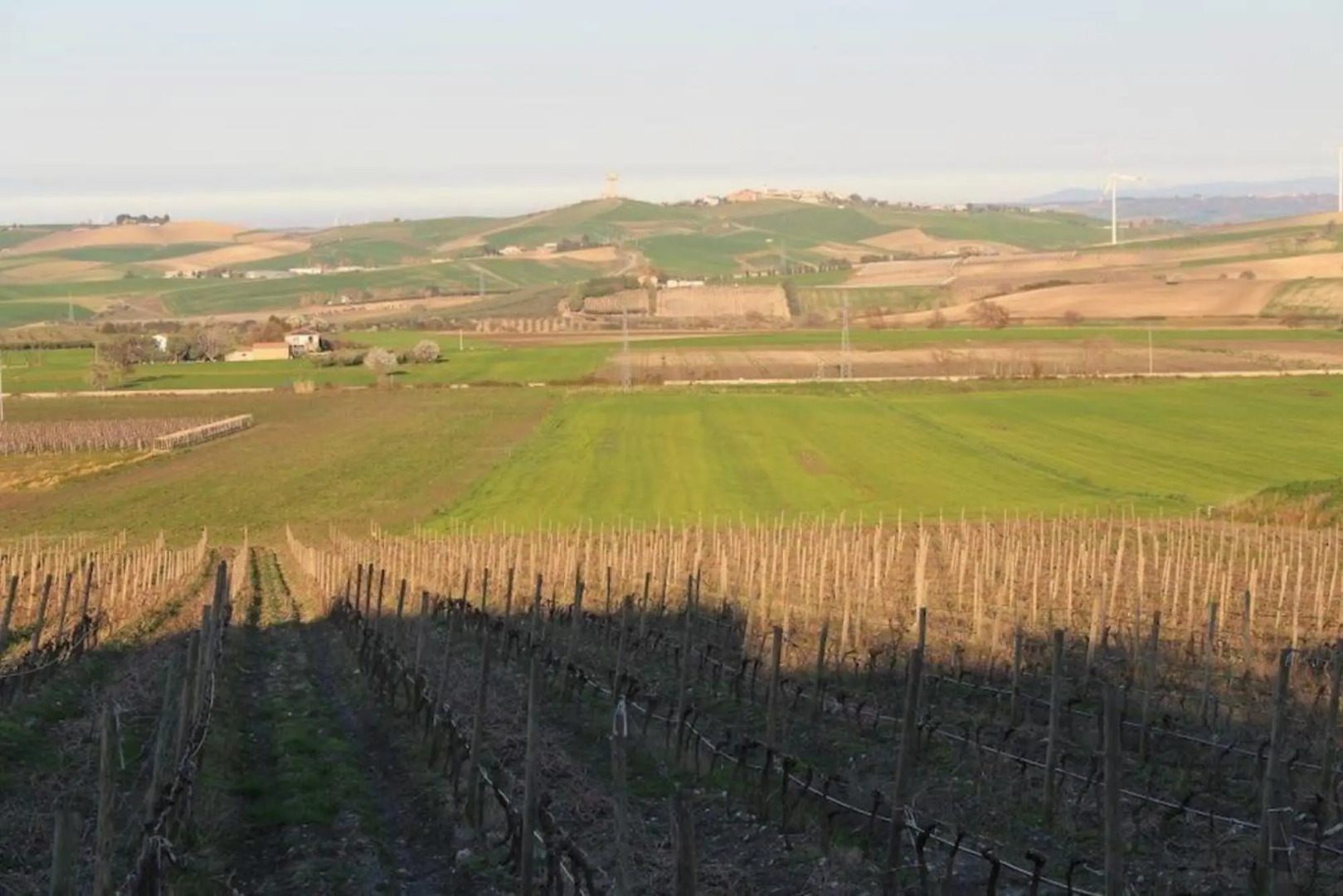 Relais I Dolci Grappoli