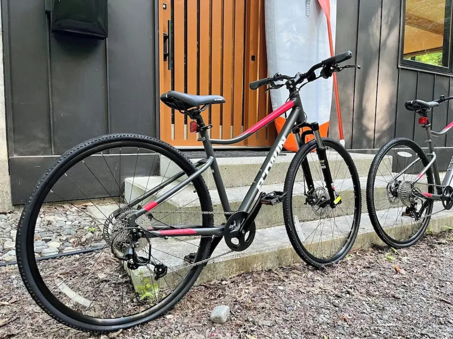 Seven Trees By Aokiko