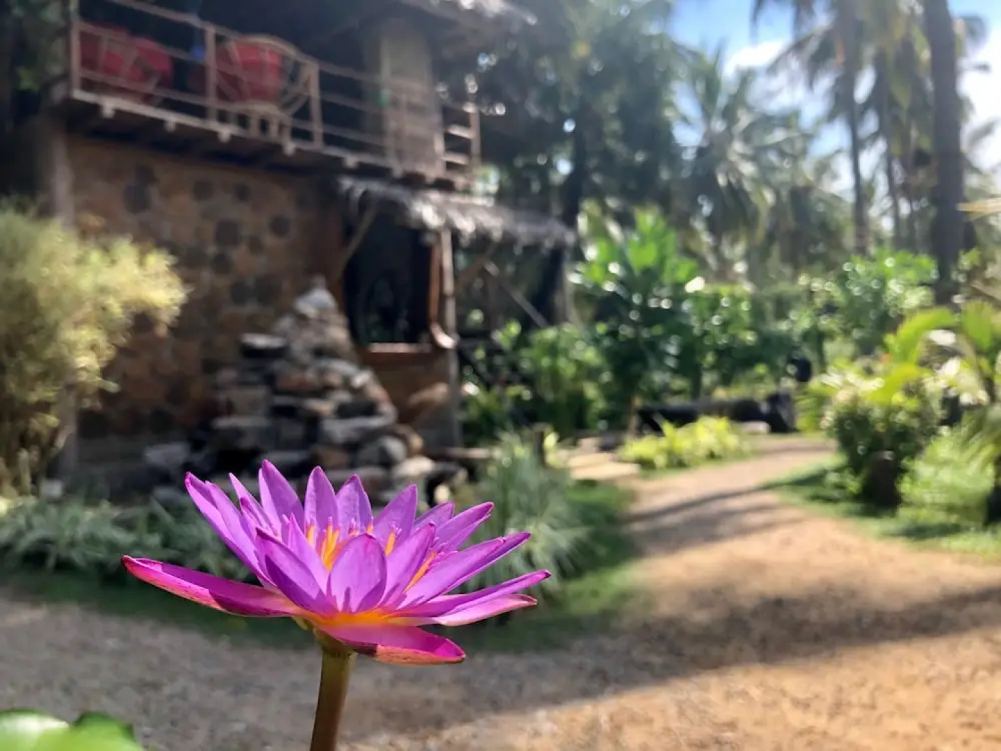 Wind Blend Kite Resort