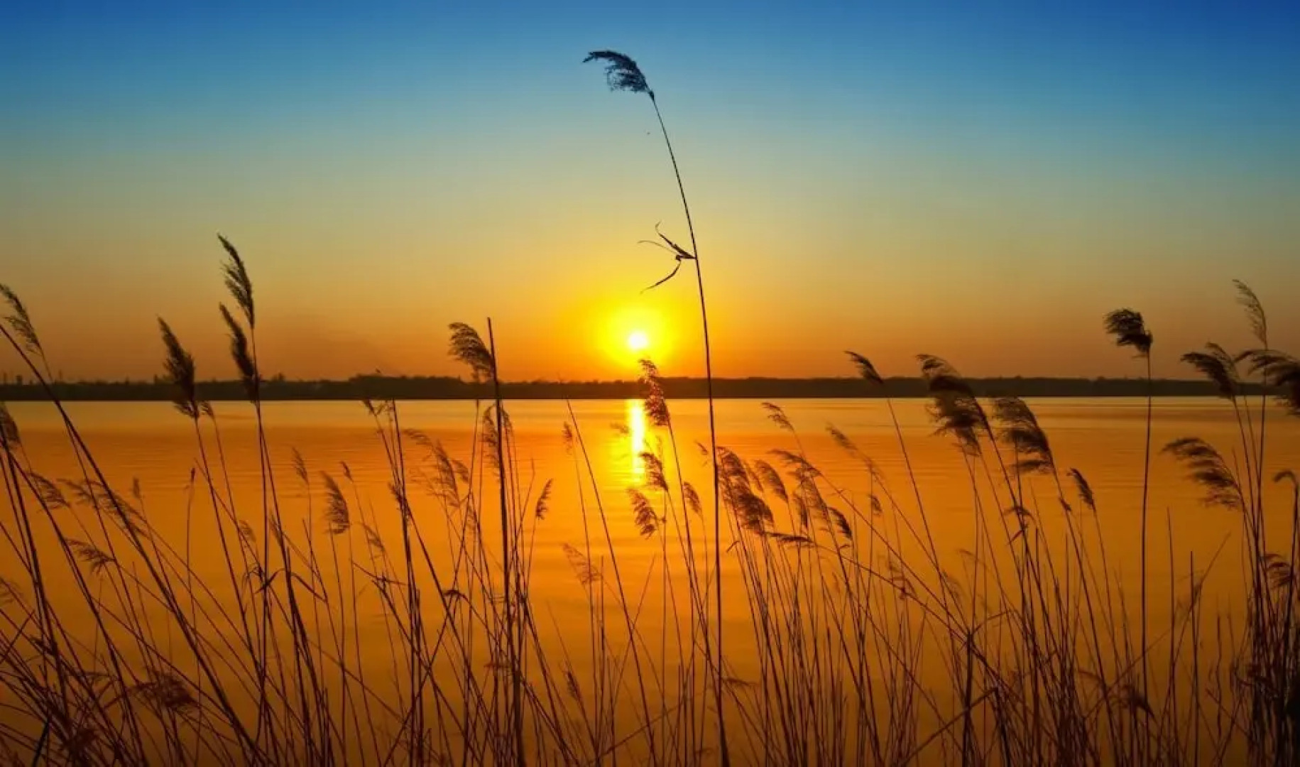 Cherry Lane Campground & Cottages