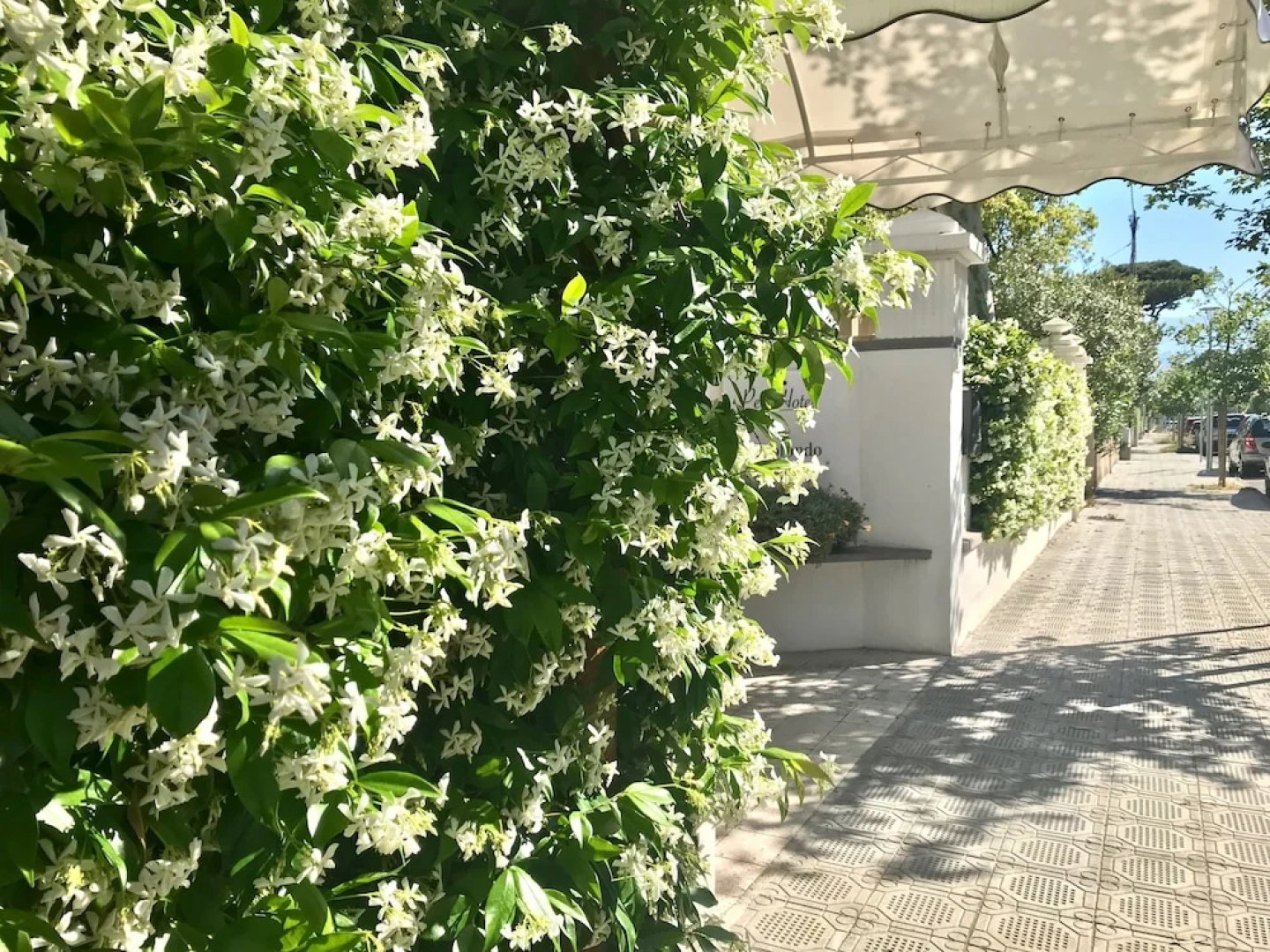 Petit Hotel - Hotel a 3 stelle a Lido di Camaiore