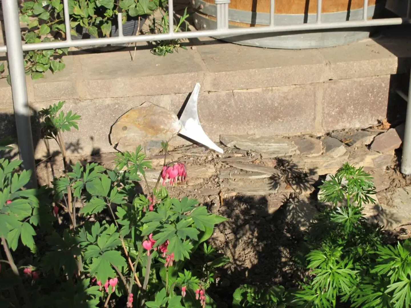 Weinhof Michael Morbach