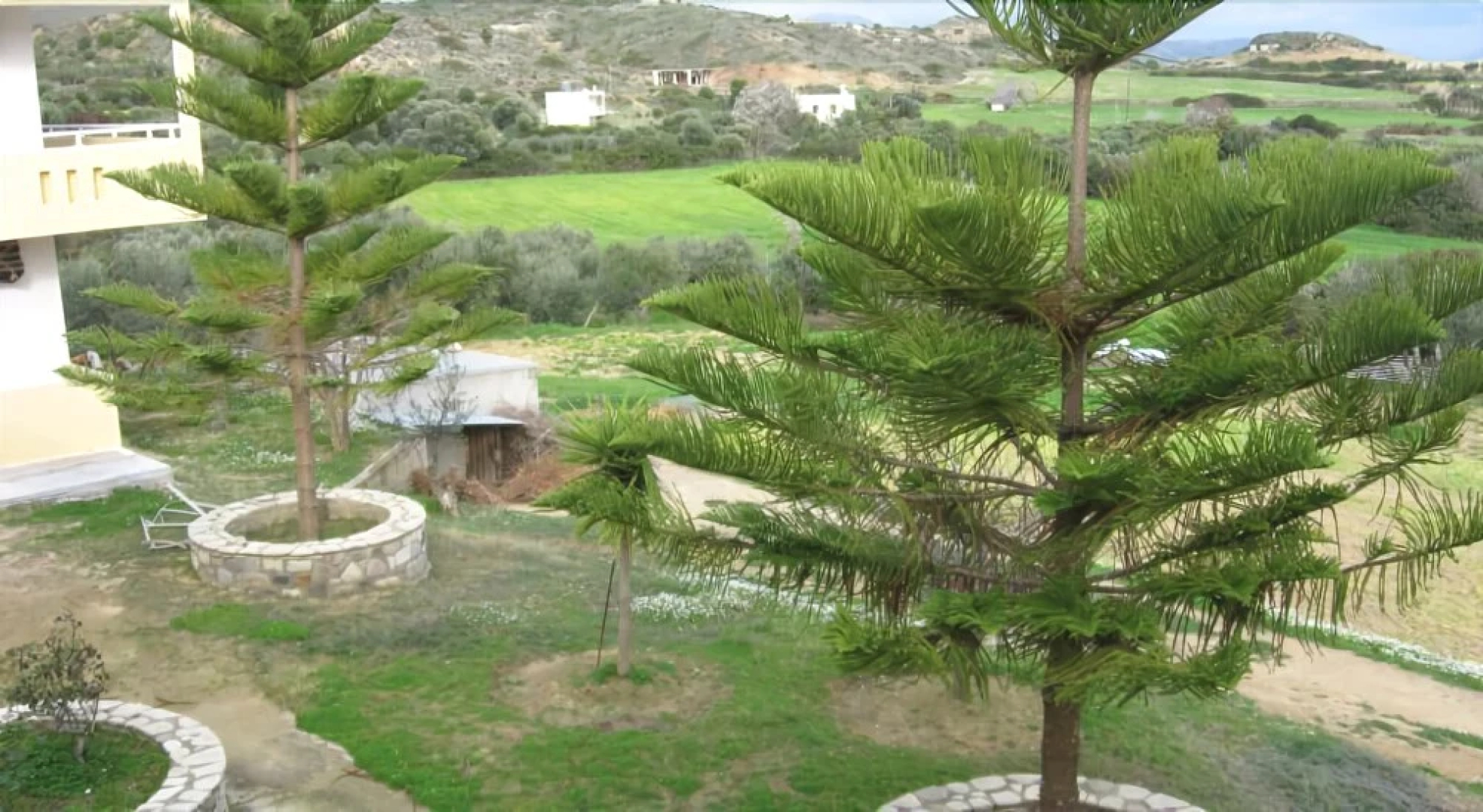 Vasilis Studios