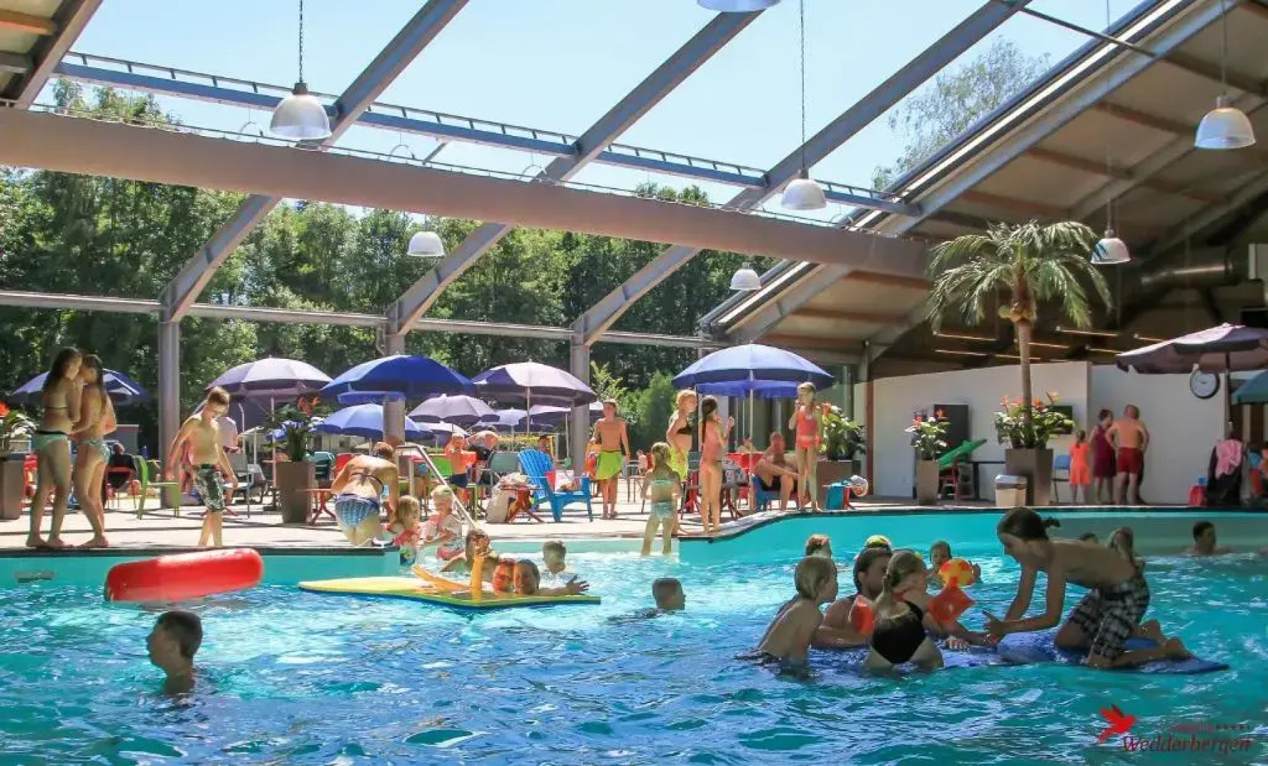 Camping Wedderbergen