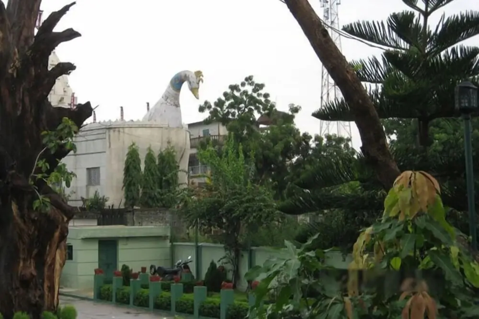 Shikharji Continental