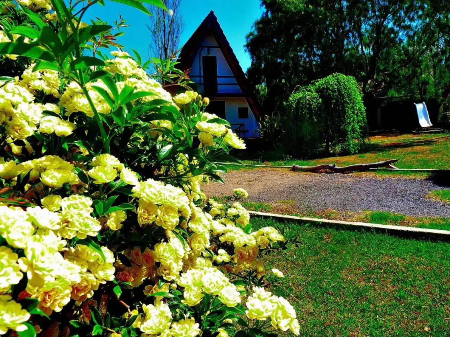 Cabañas Verde y Blanco