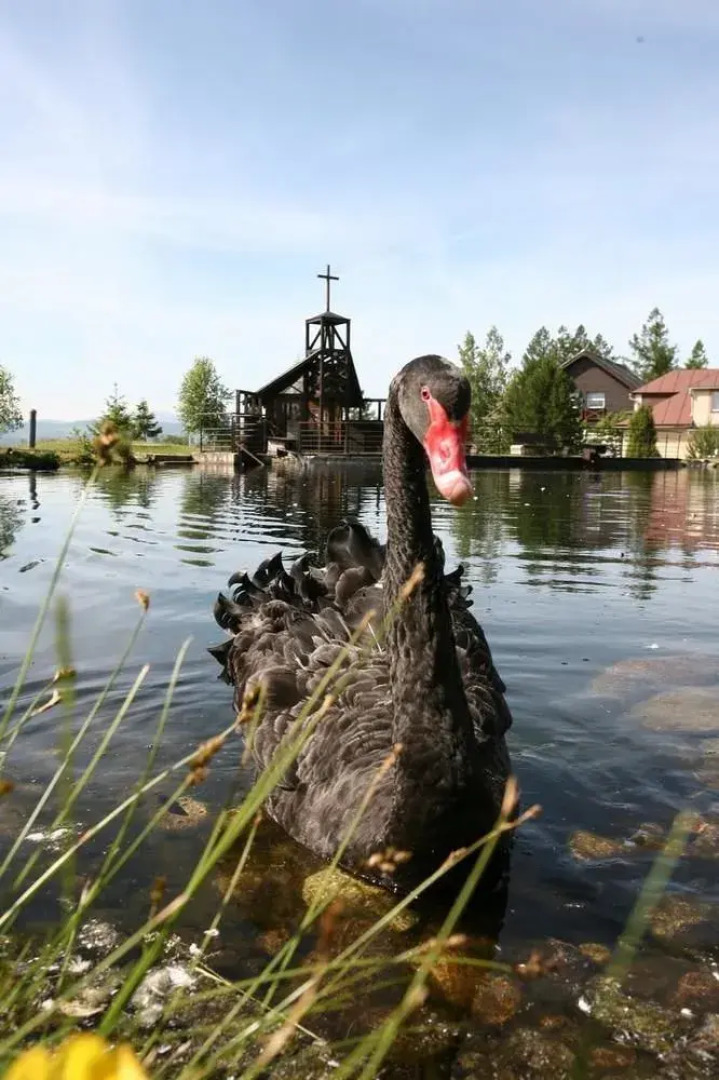 Hotel Hubert High Tatras