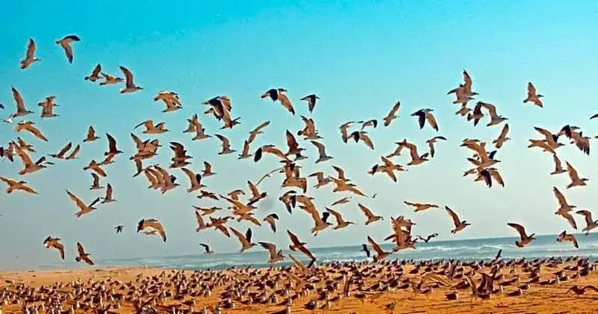 Les Hébergements Nature et Bien-être