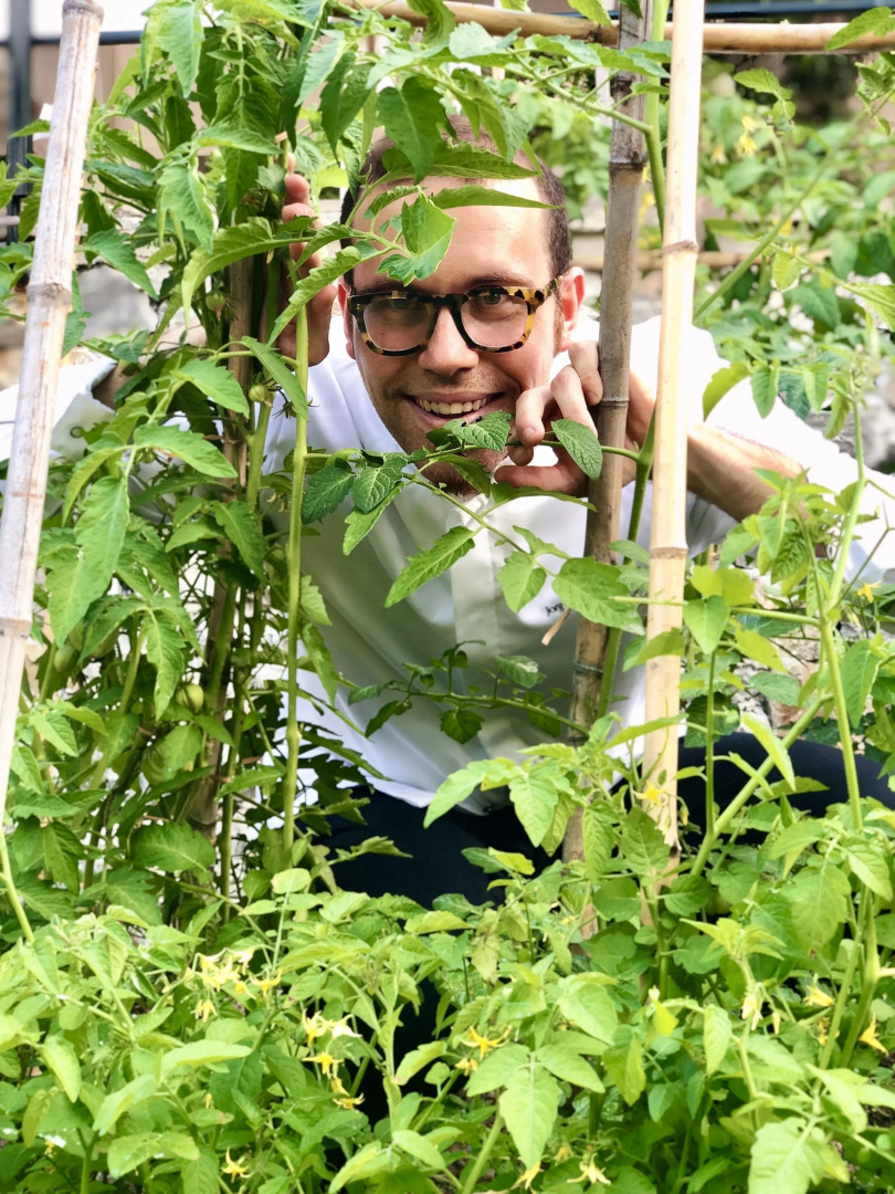 Hotel Villa Edera e La Torretta