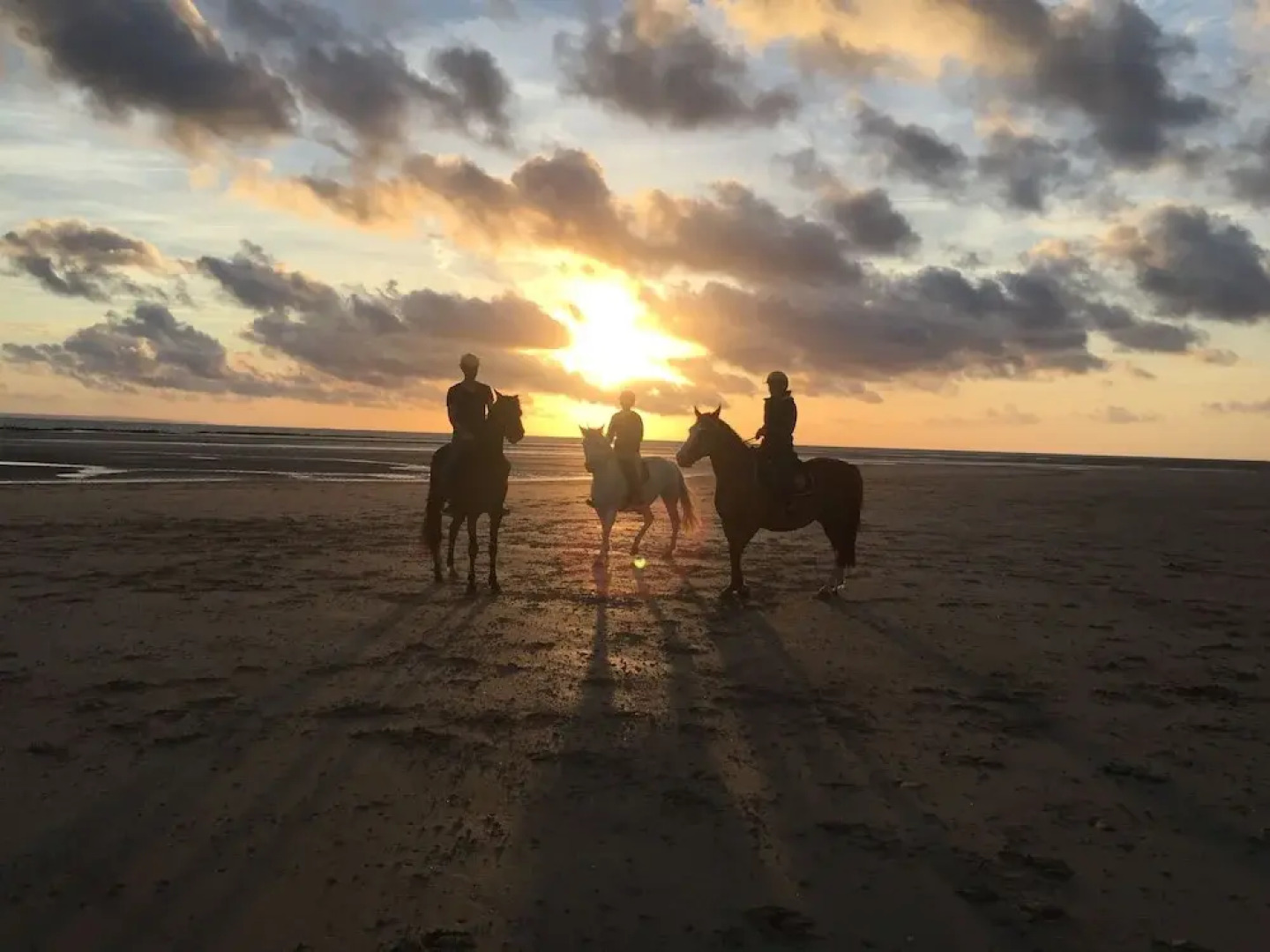 Ecuries Leseigneur - Gite