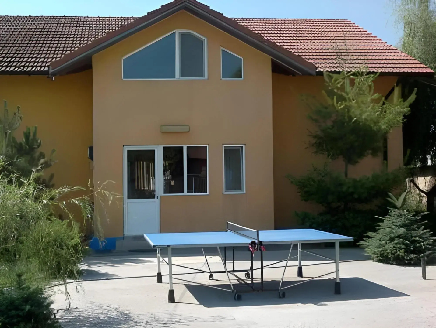 Pension Puiu