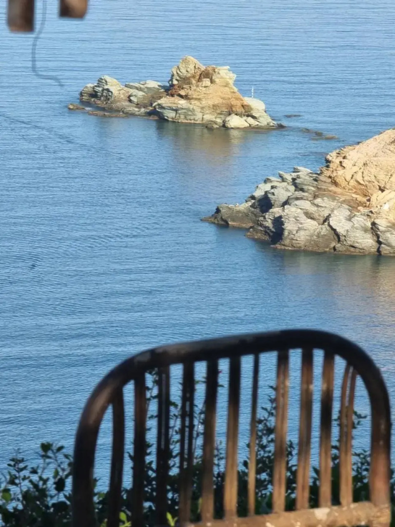 Bellevue Village Apartments Studios