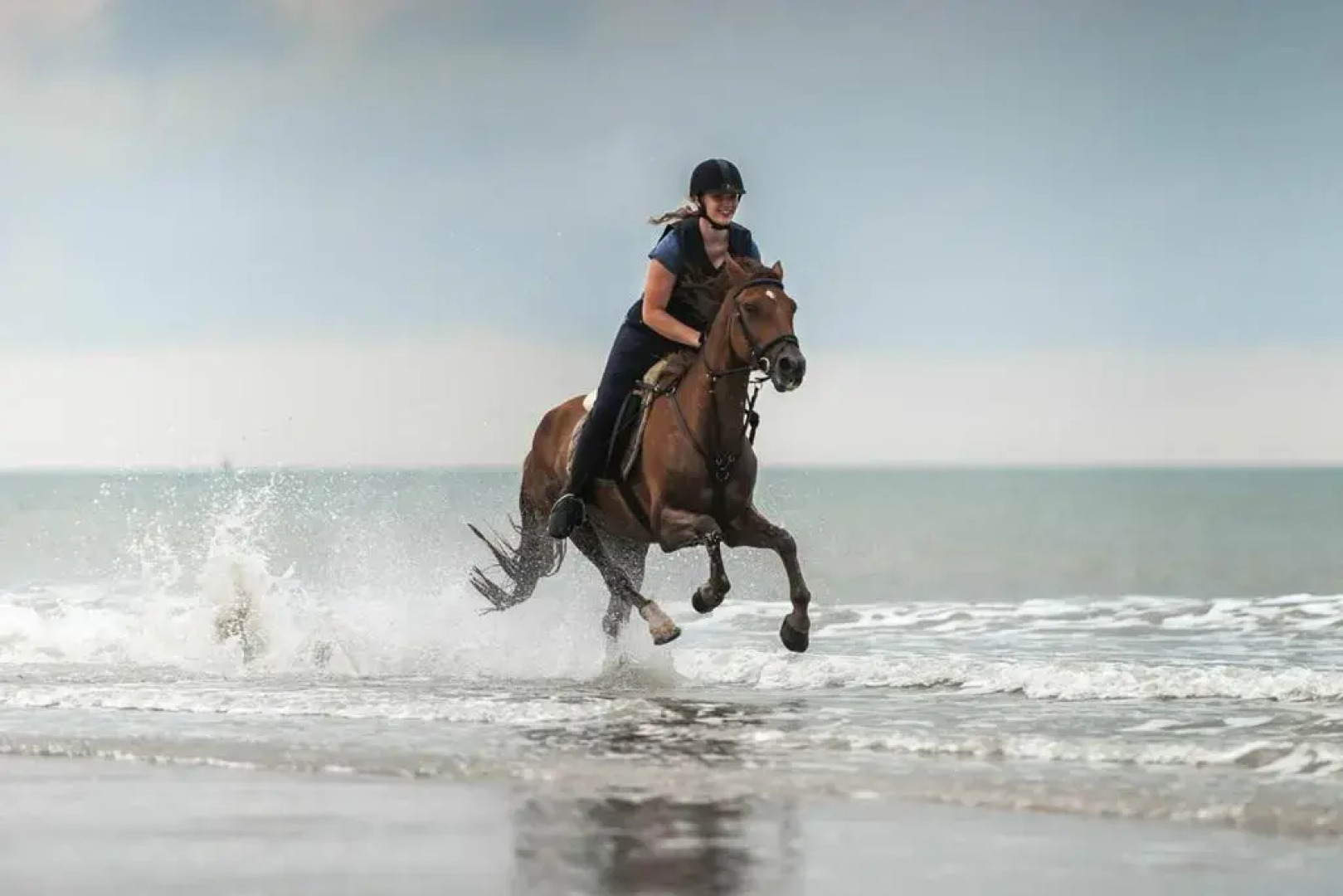 Chalet Stal Veersedam