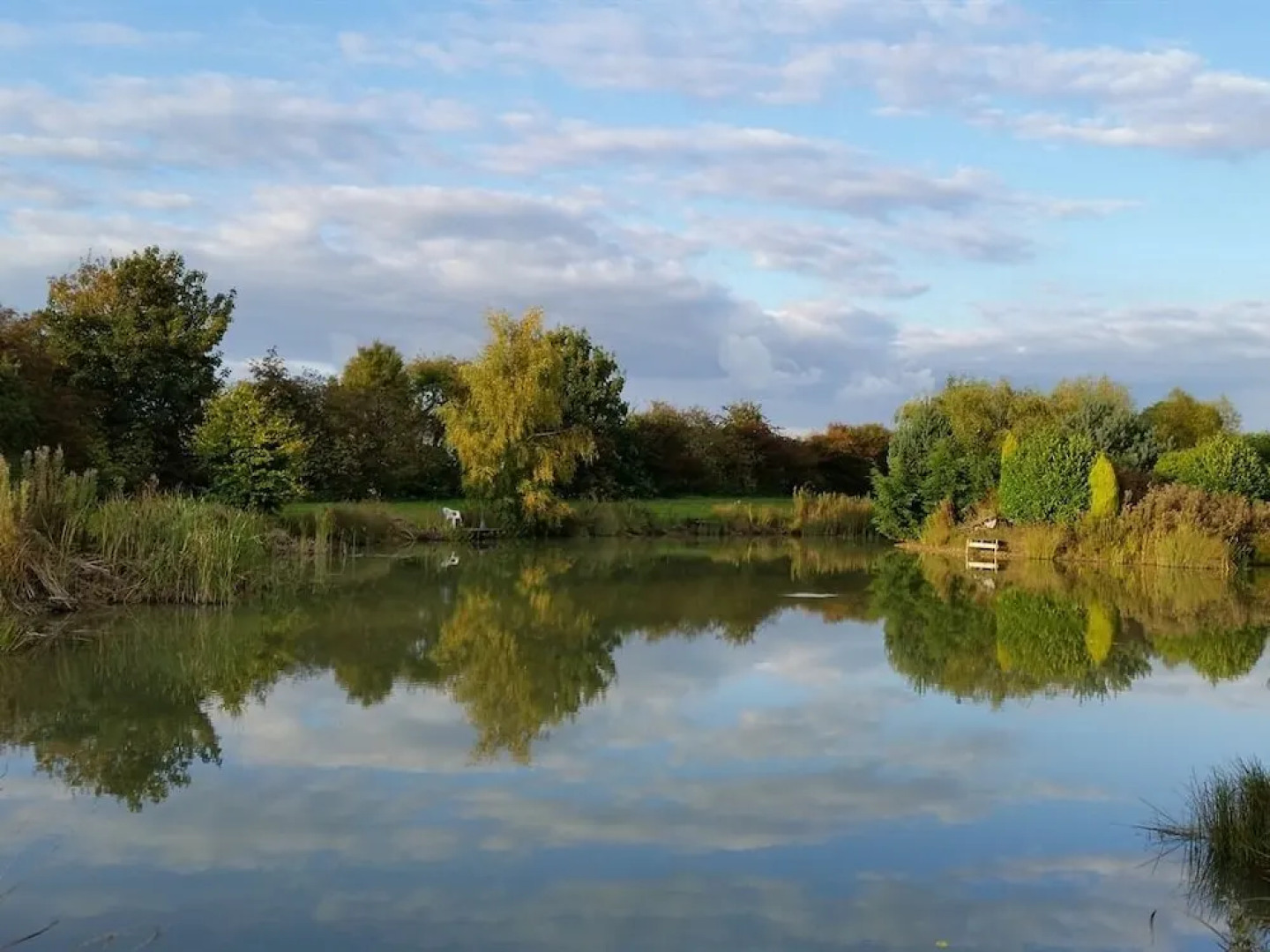 The Log Cabin Glebe Farm