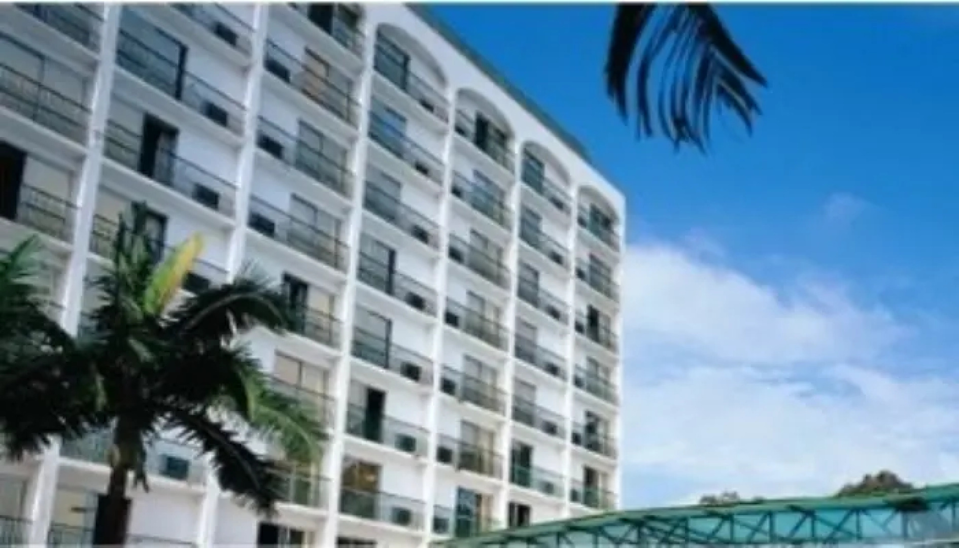 Palmleaf Grand Premium