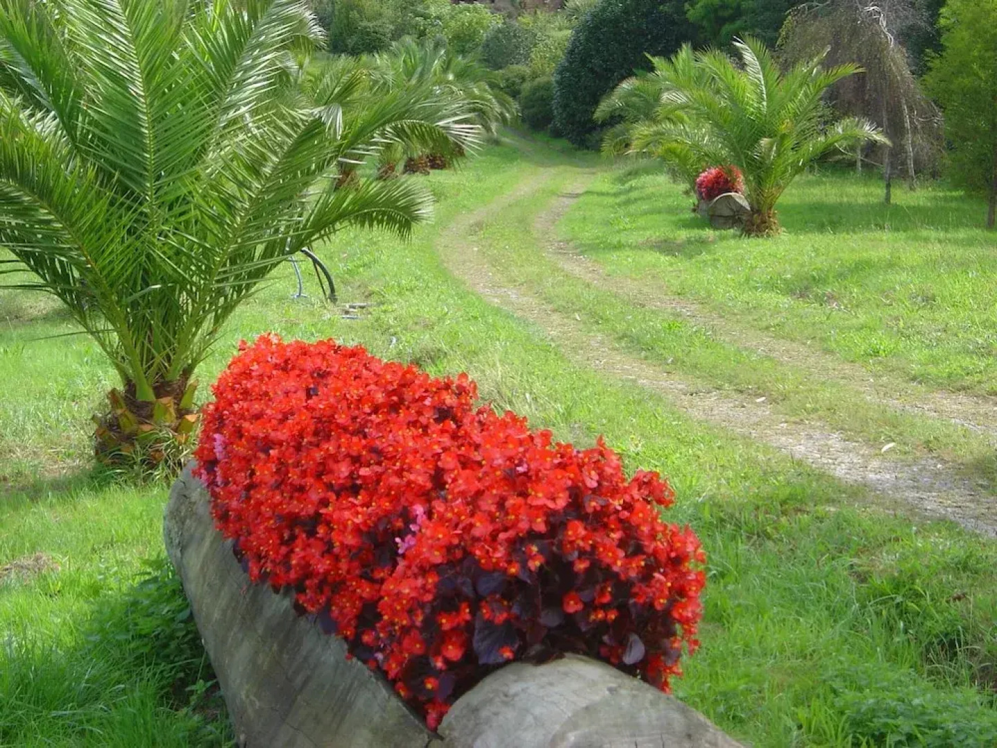 Casa Rural Lurdeia - Adults Only