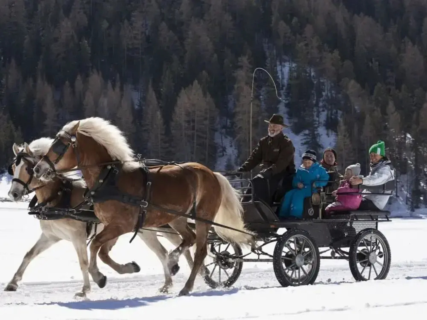 the Veitenhof Comfortable Holiday Residence