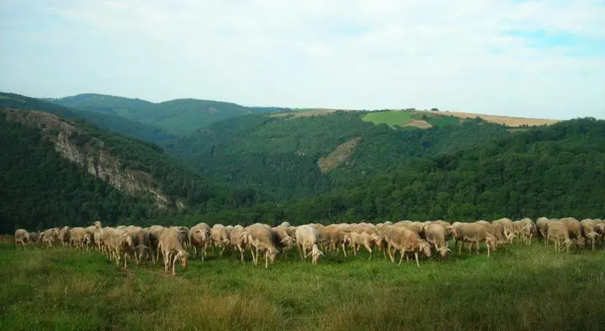 Les Gîtes de Costes-Auriès