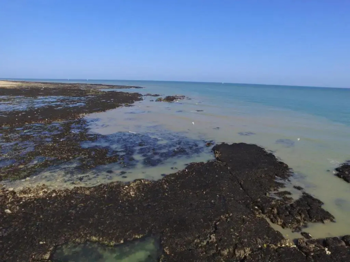 Chambres dHôtes Le Grismoustier