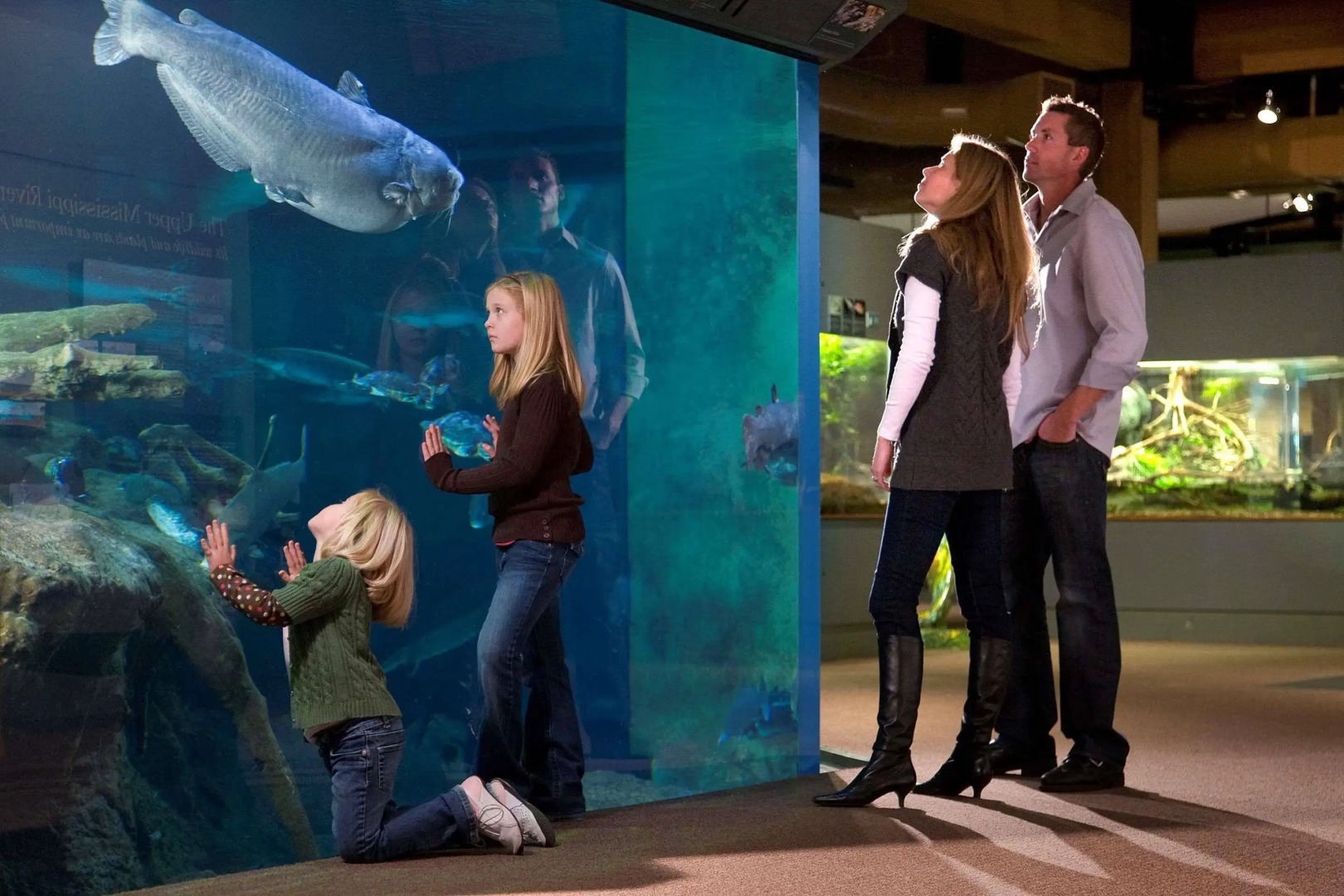 Best Western Plus Dubuque Hotel & Conference Center