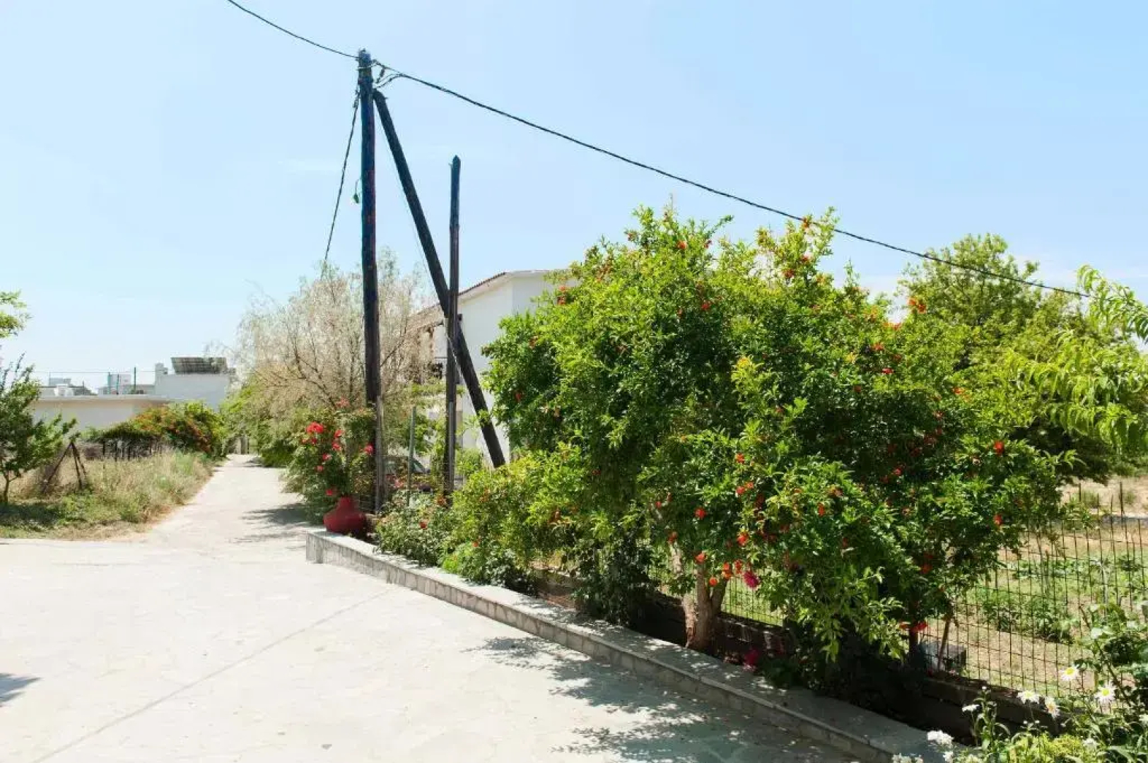 Saonisos