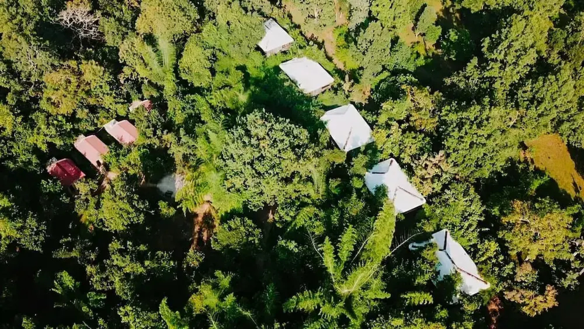 Tiger N Woods Resort