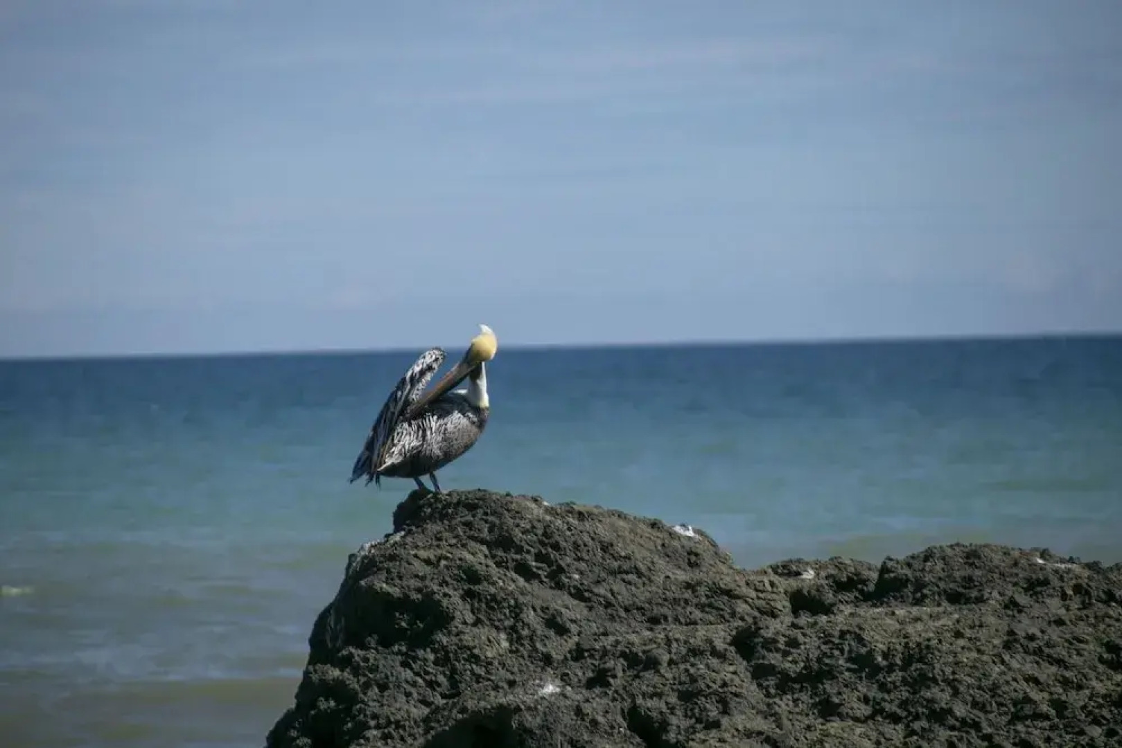 Villas Cabuya Beach & Jungle