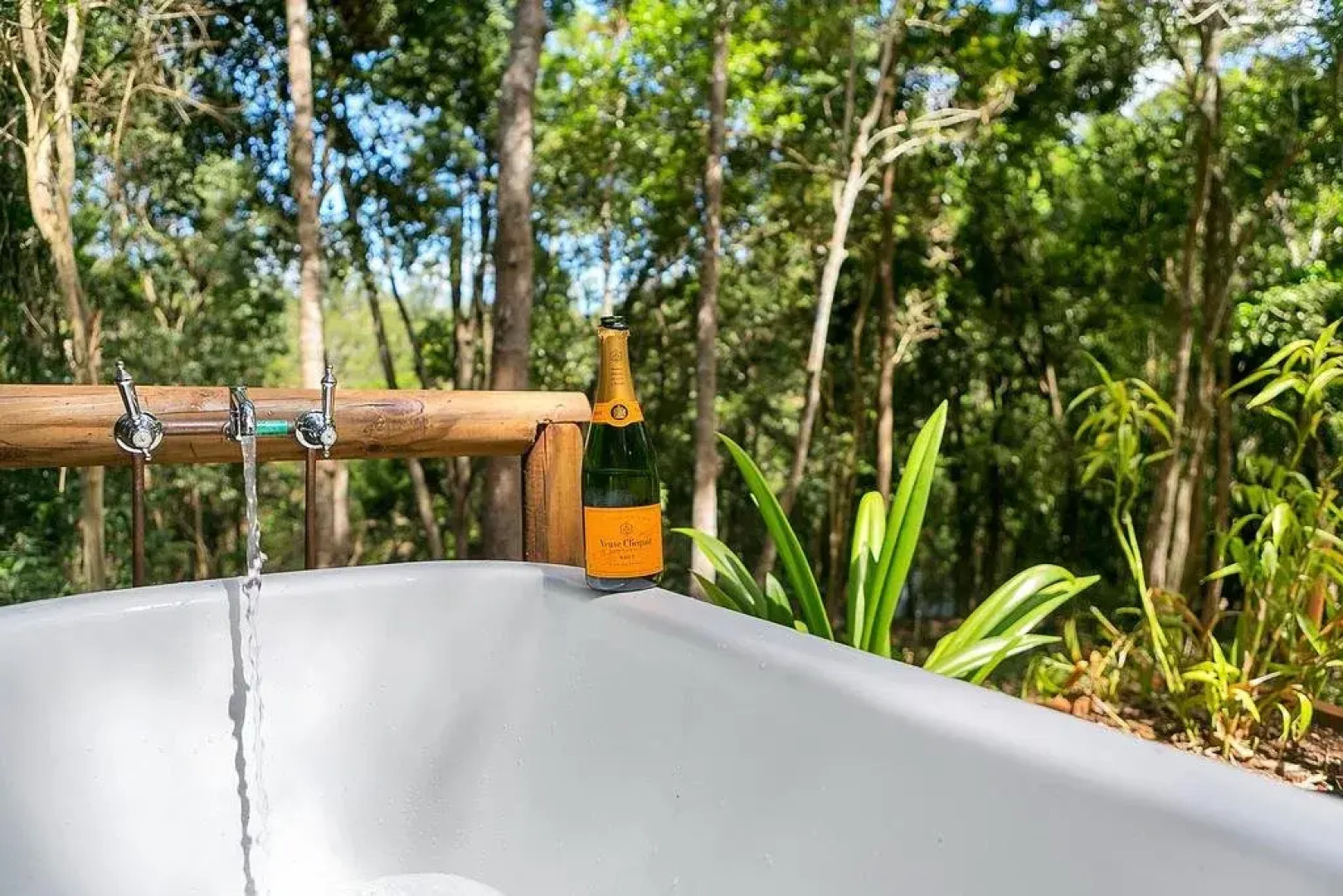 Wanggulay Too Treetops Cairns City