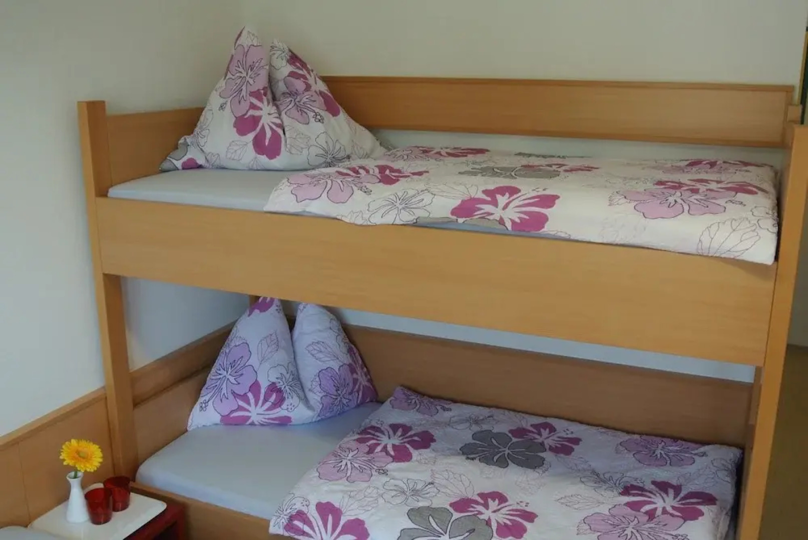 Hostel Step Gästehäuser Pinkafeld