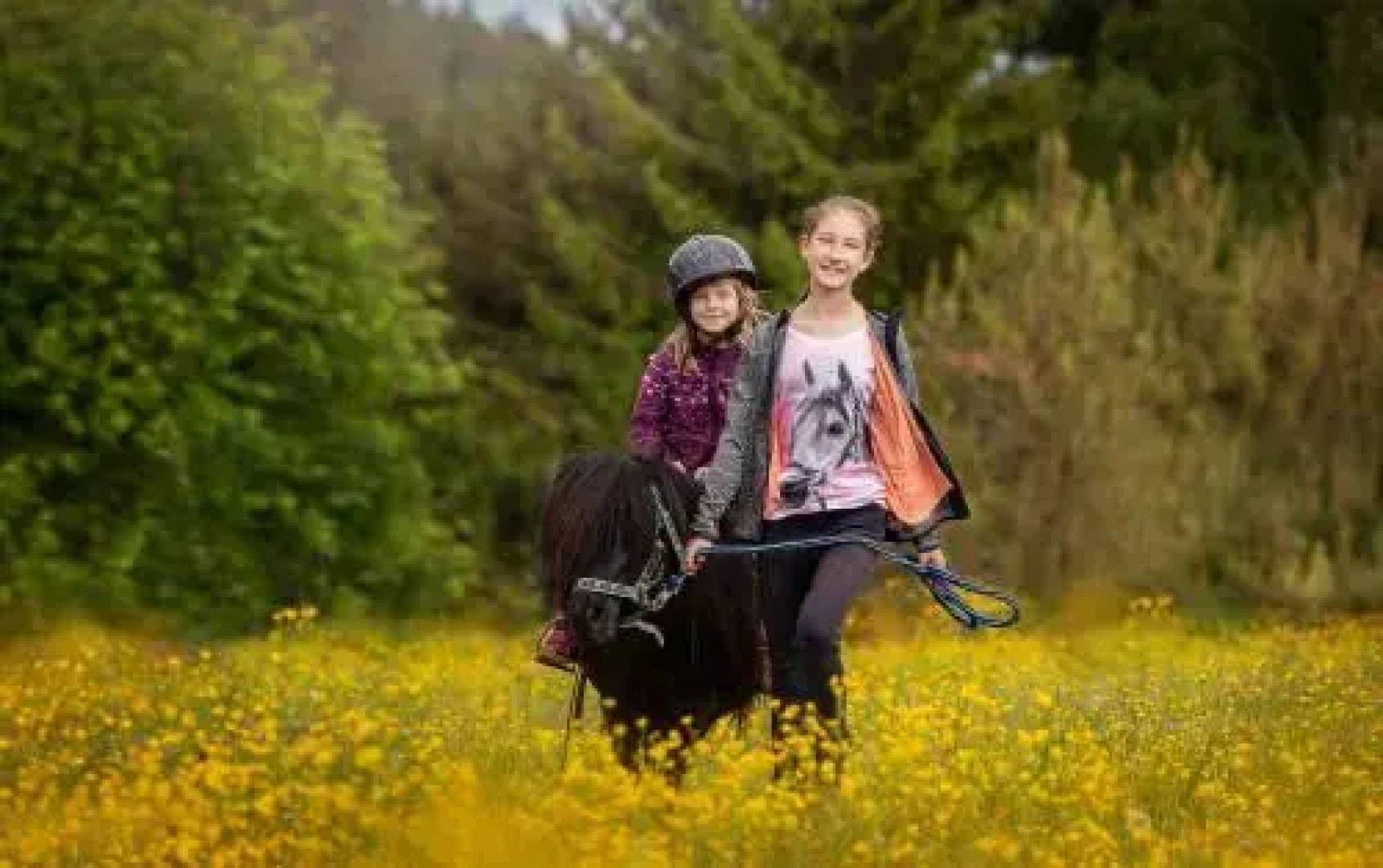 Hotel-Gasthof Pferdekoppel