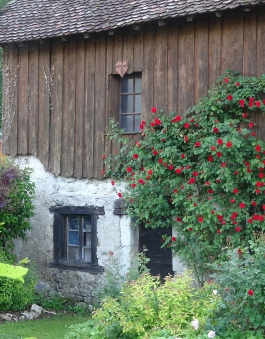 La Ferme Bonne de la Grotte
