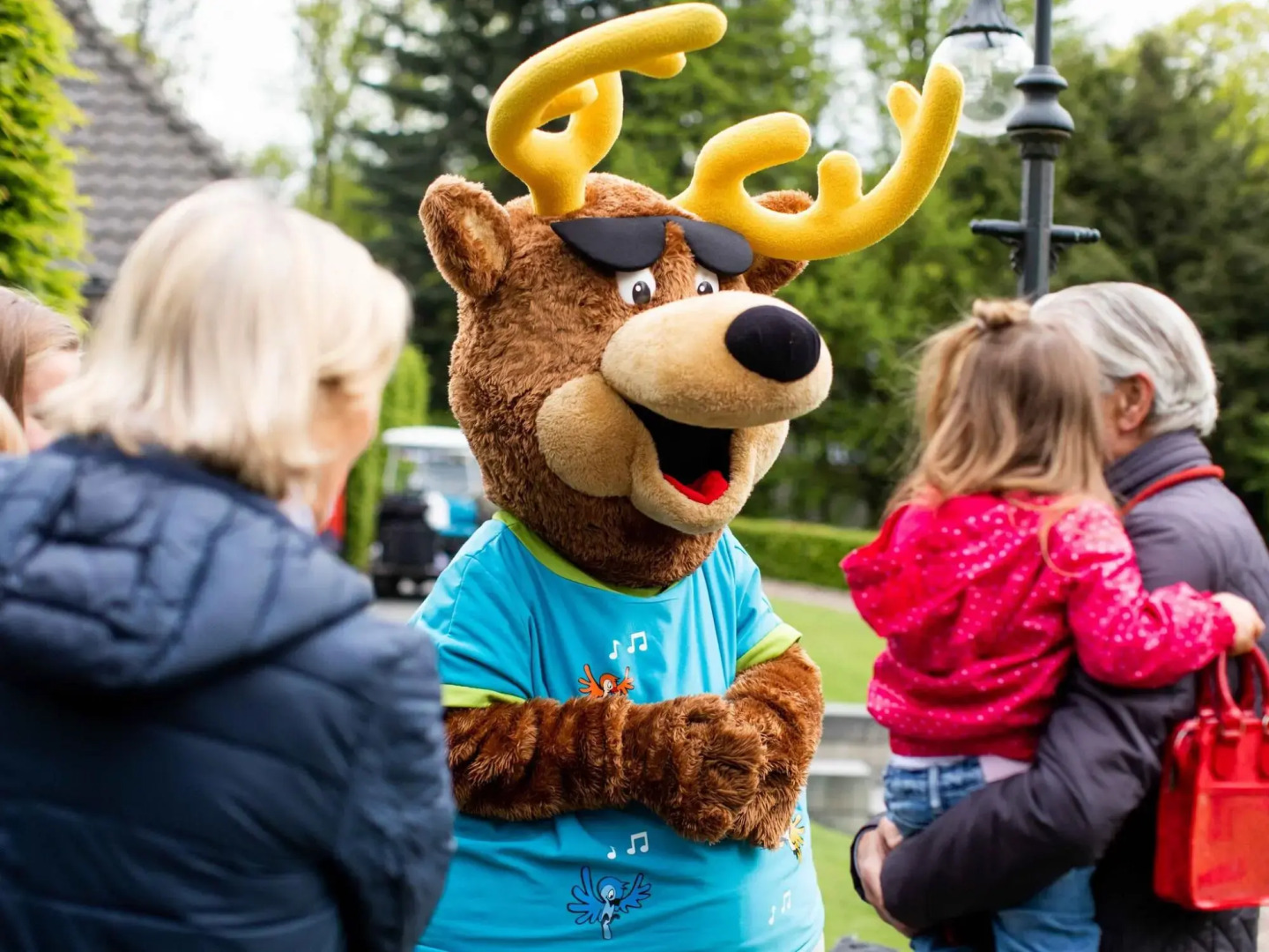 Well-maintained chalet with WiFi in a holiday park close to Park De Veluwe