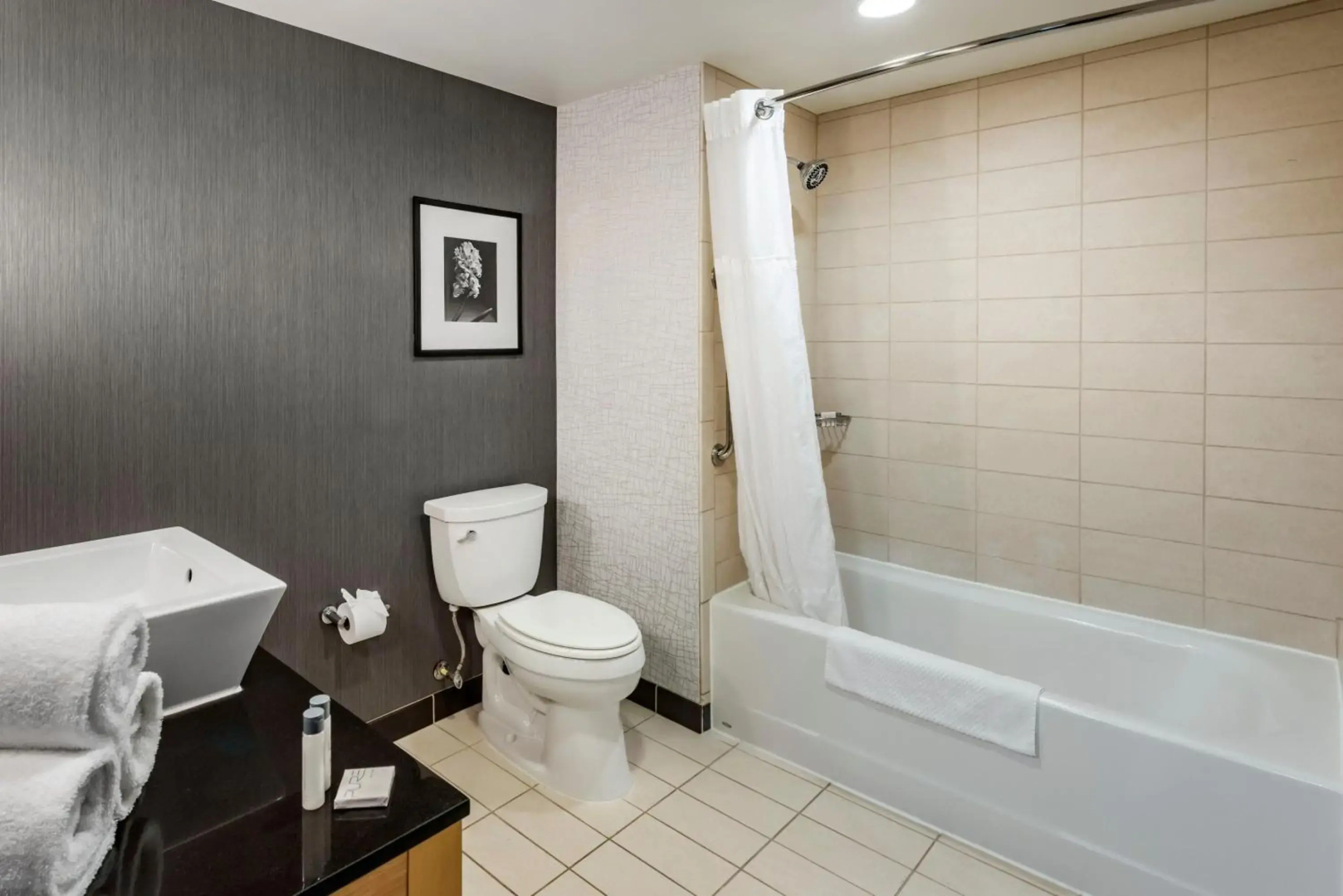 Cambria Hotel Minneapolis Maple Grove