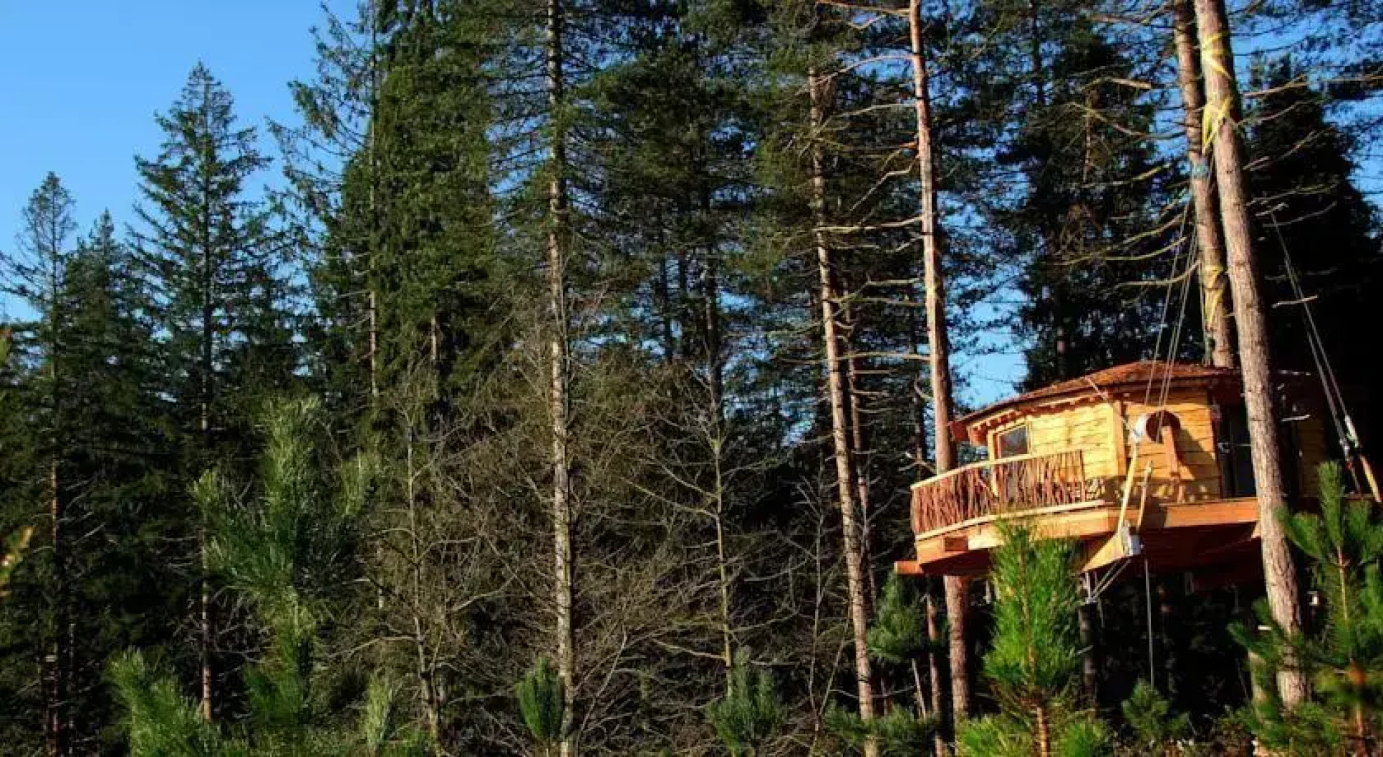 Cabañas en los Árboles