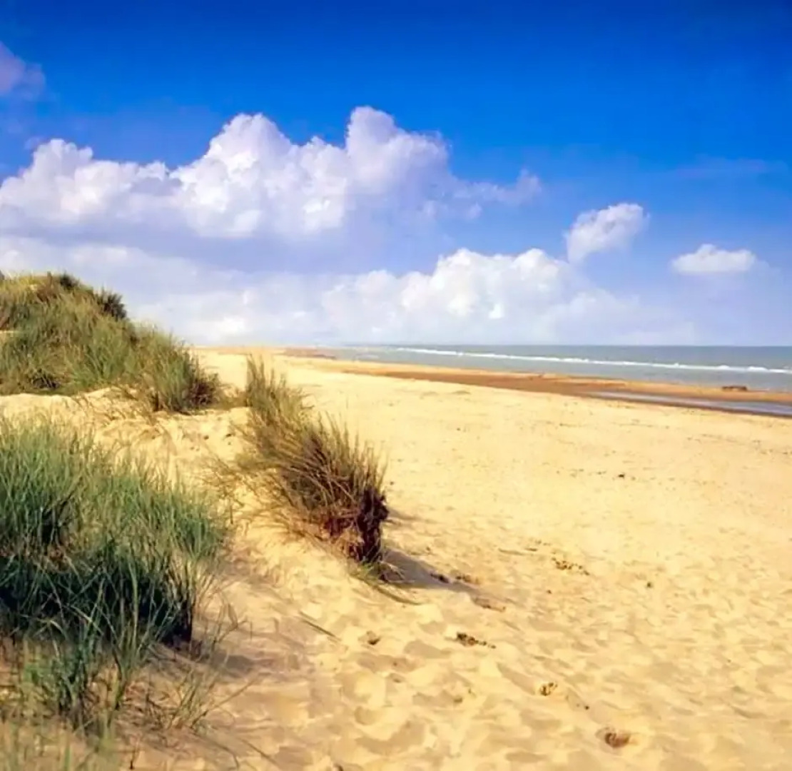 Golden Palm Getaway's PG143