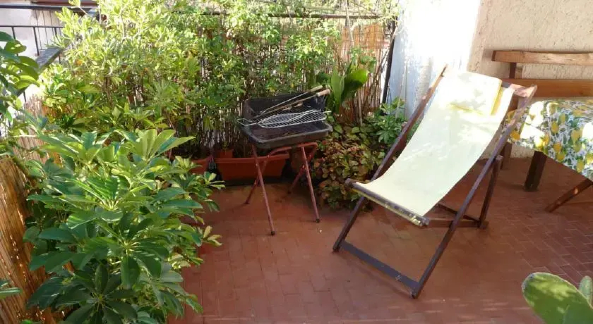 Casa tra gli ulivi