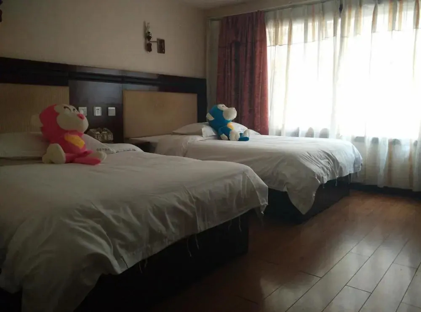 Witty Monkey Hotel
