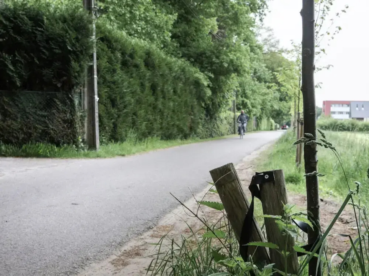 Westmalle Forest Garden Home