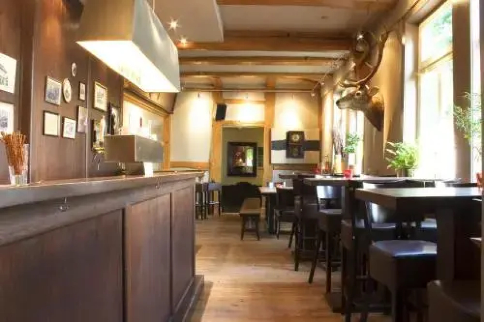 Apartment Brauner Hirsch