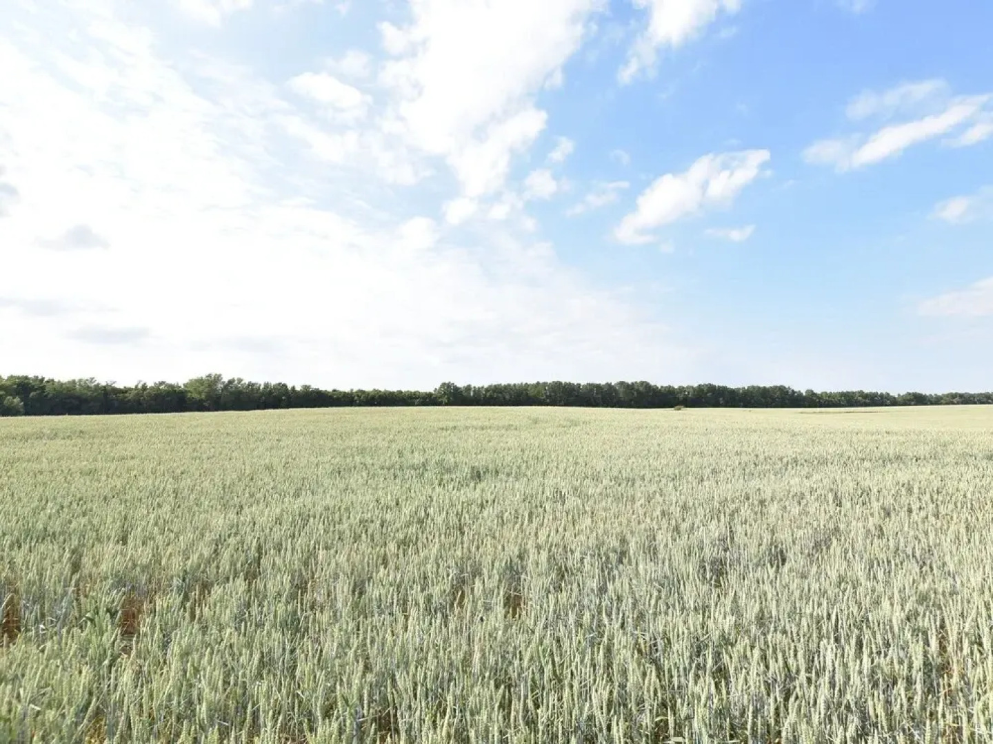 Spacious Pet-friendly Holiday Home in Marlow