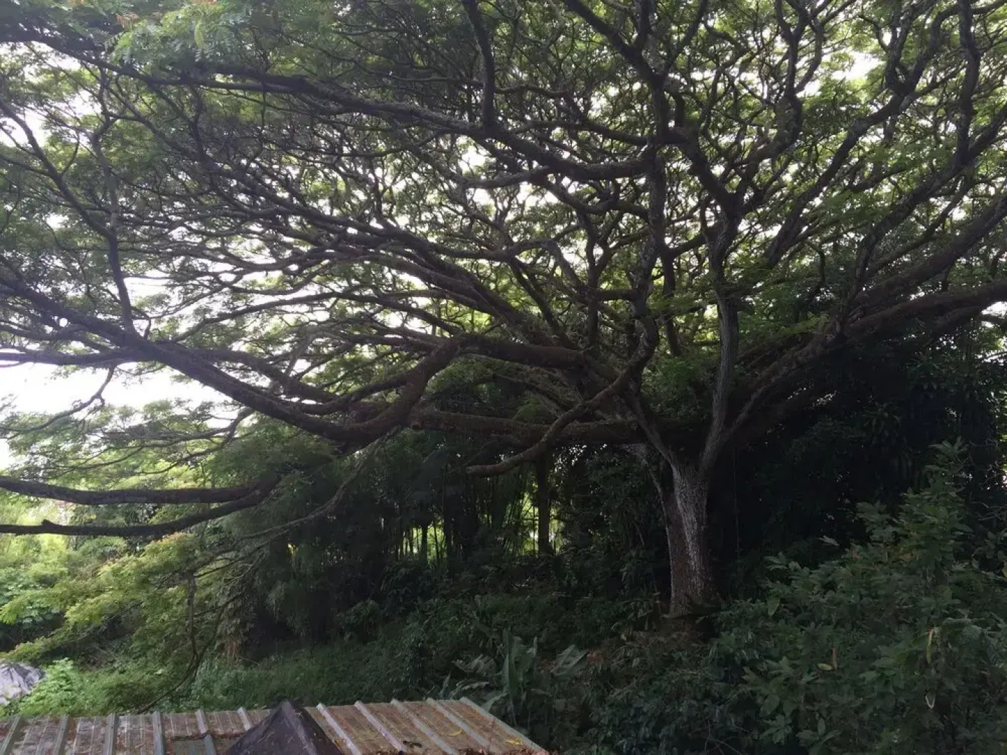 SweetSpotStay-Enchanted Grotto