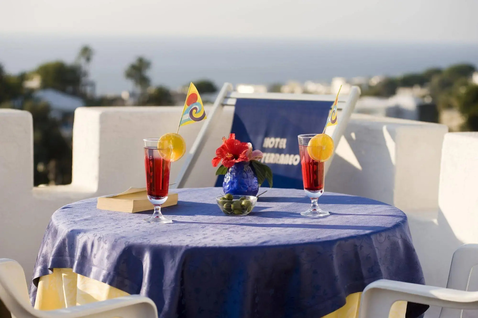 Park Hotel Terme Mediterraneo