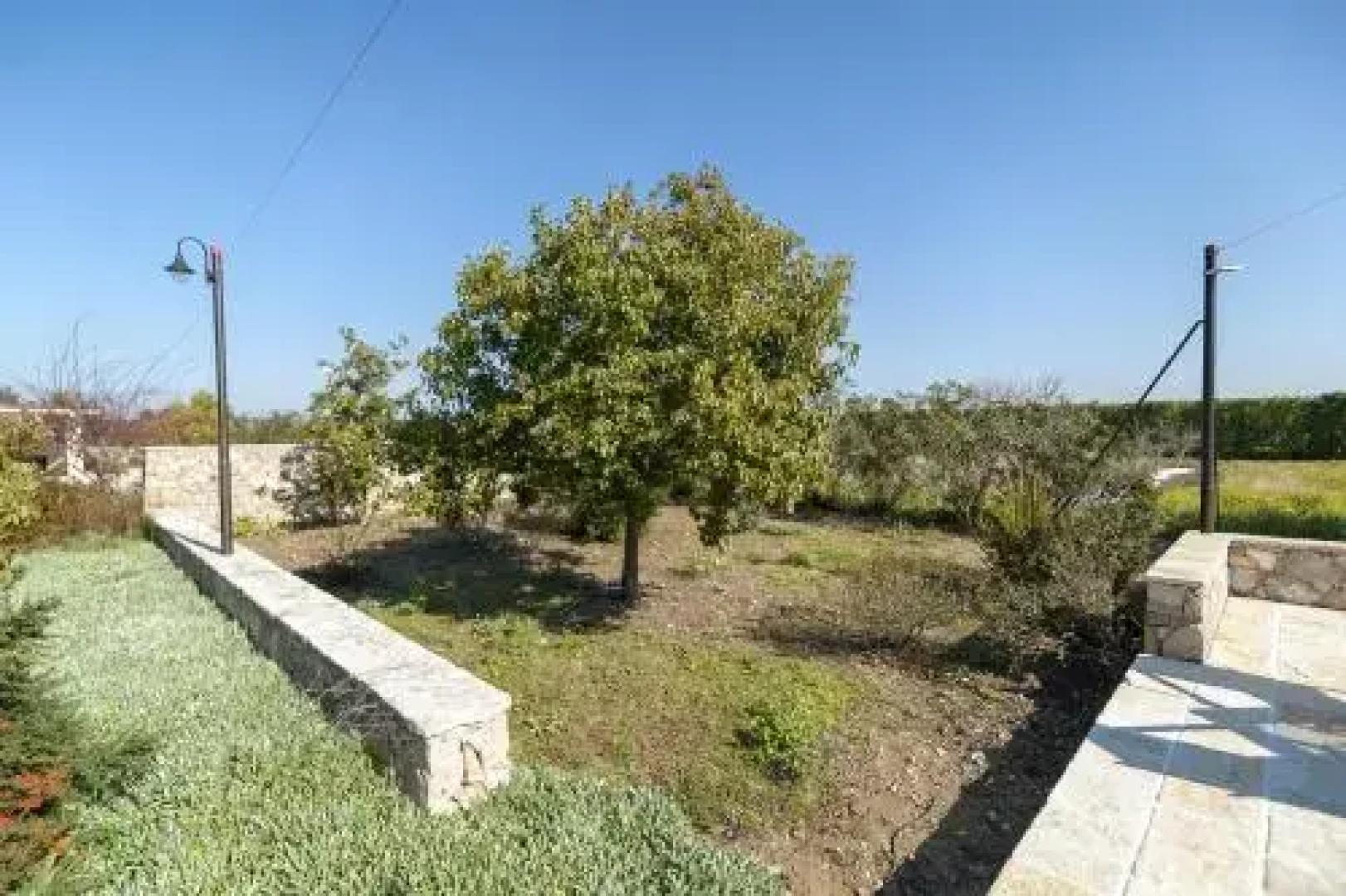 Tenuta Andromeda