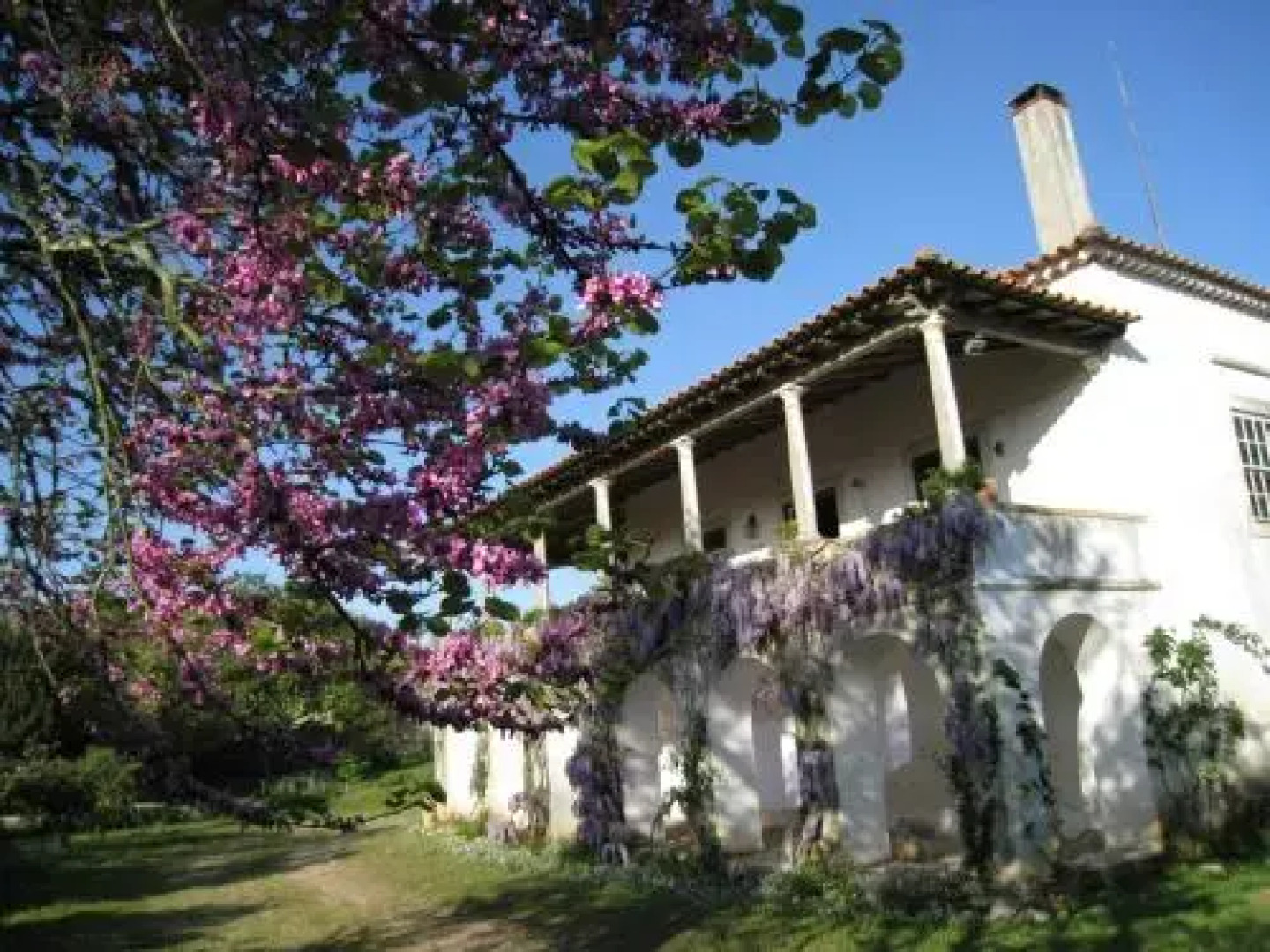 Quinta da Casa Velha Agroturismo