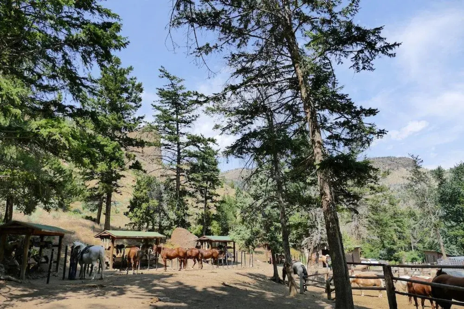 Bill Cody Ranch
