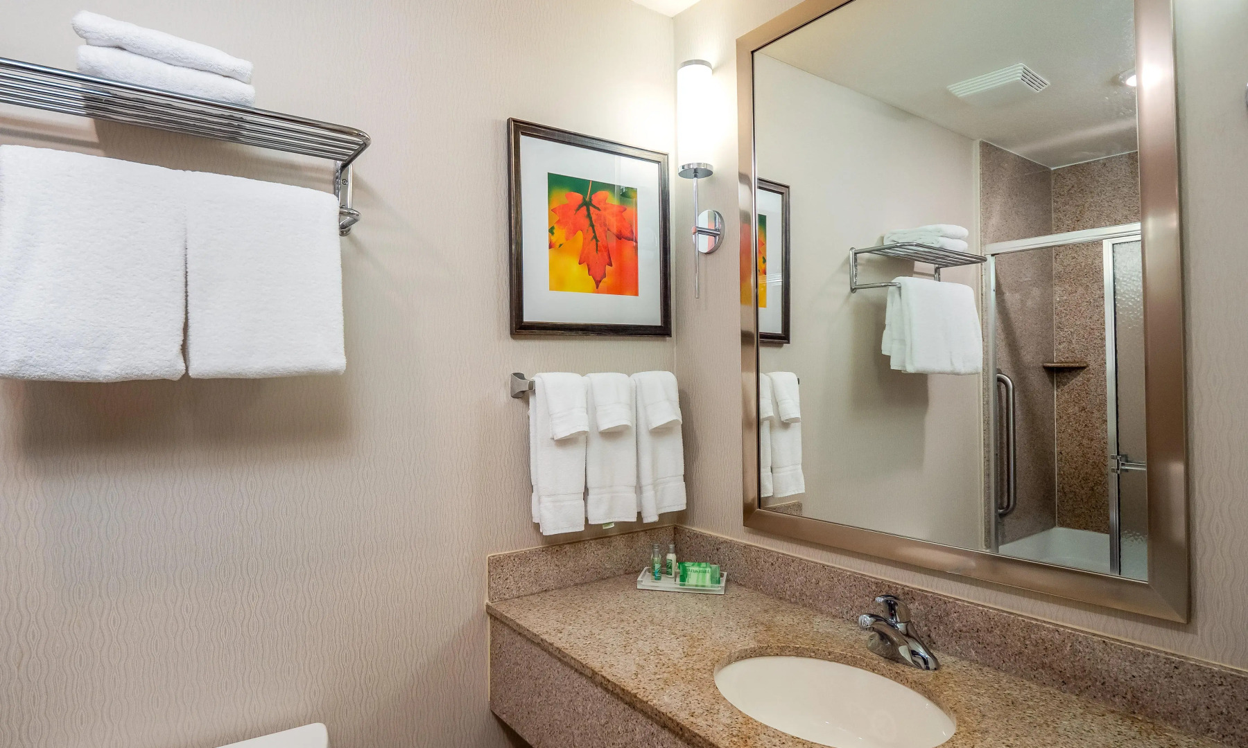 Holiday Inn Stevens Point - Convention Ctr by IHG