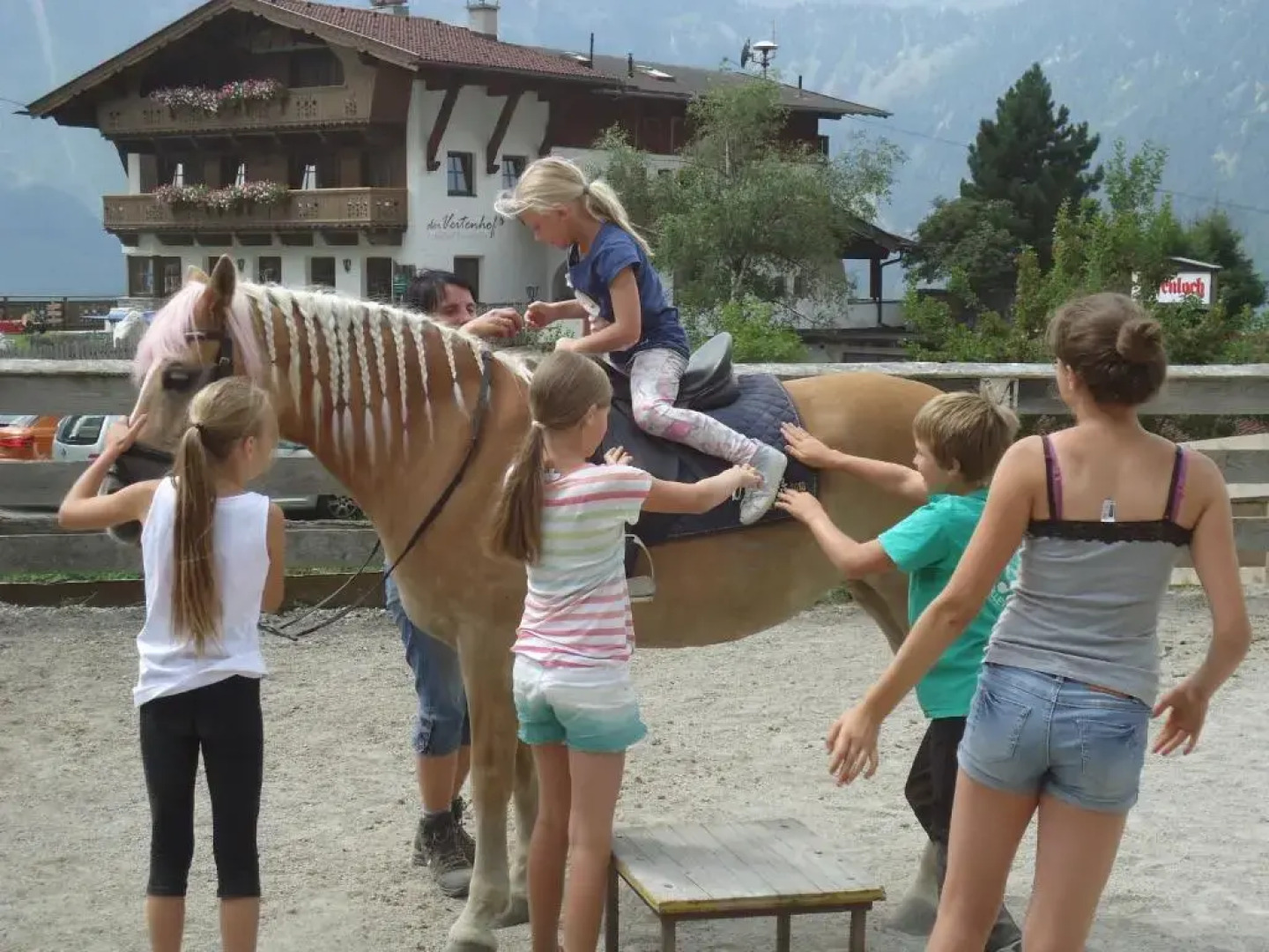 Biologische Pension & Boerderij "de Veitenhof"