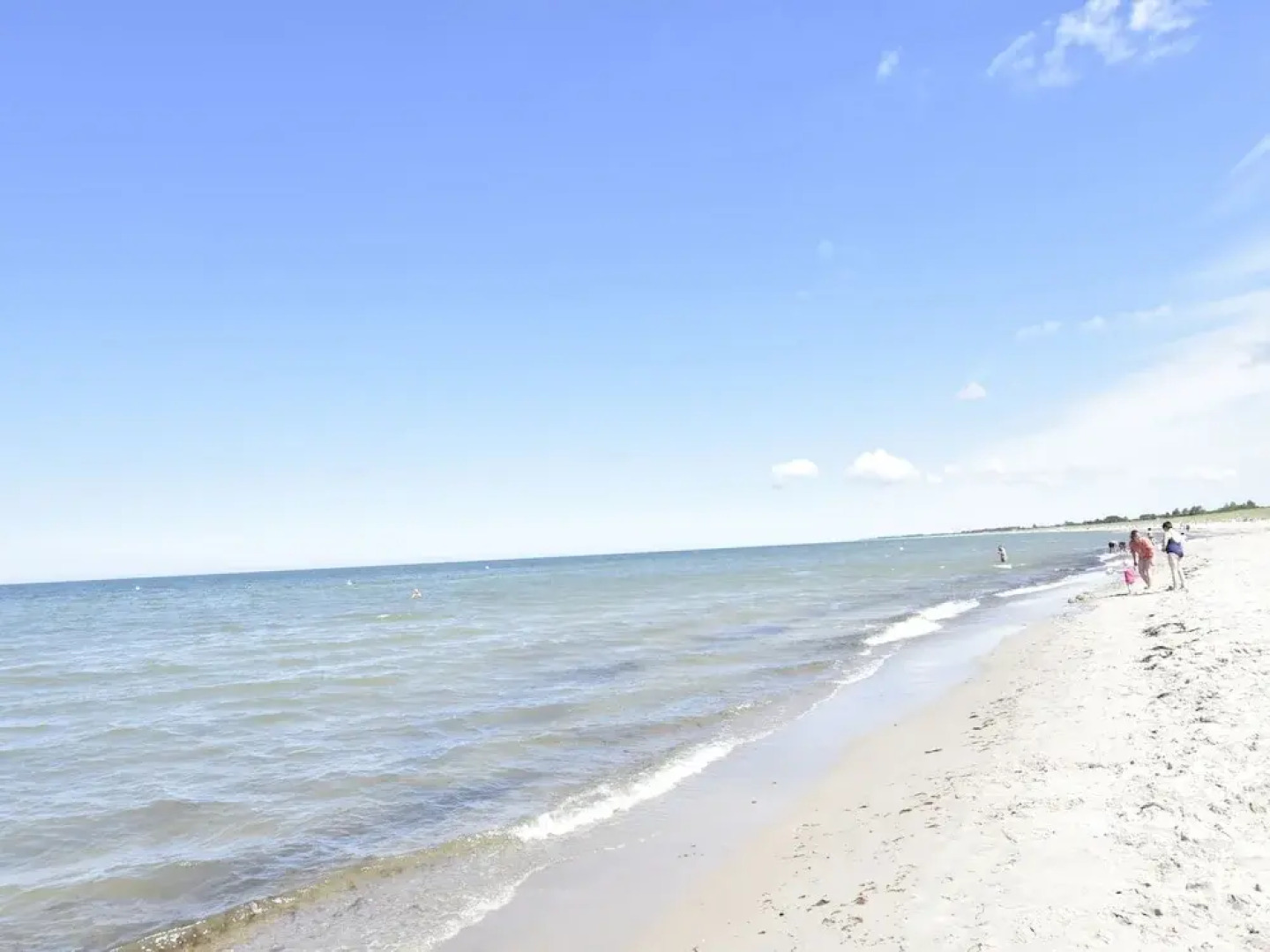 Spacious Apartment with Terrace in Dierhagen